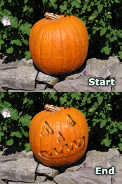 carving a pumpkin Photoshop style