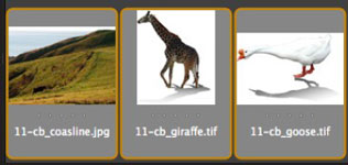 Collage starting images